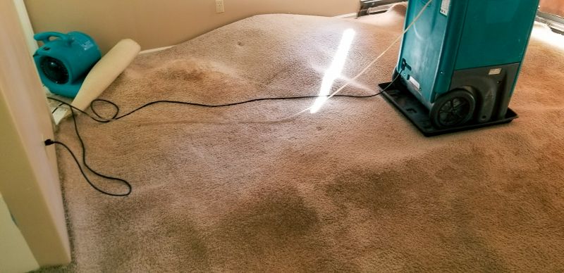 Emergency Carpet Cleaning